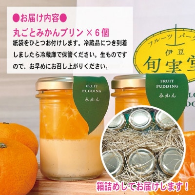 〔伊東温泉大人気〕丸ごとみかんプリン6個入【配送不可地域：離島】