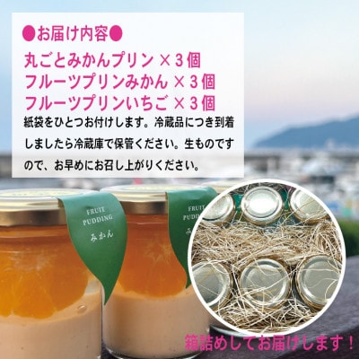 〔伊東温泉で人気〕フルーツプリンセット9個入【配送不可地域：離島】