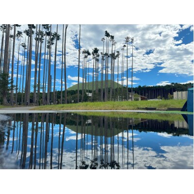 静岡県伊東市【奏の森リゾート】奏の森Resortsのモリノオトでも使える商品券9,000円分