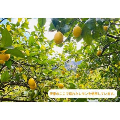 伊豆産レモンのドライフルーツと胡桃のハチミツ漬け