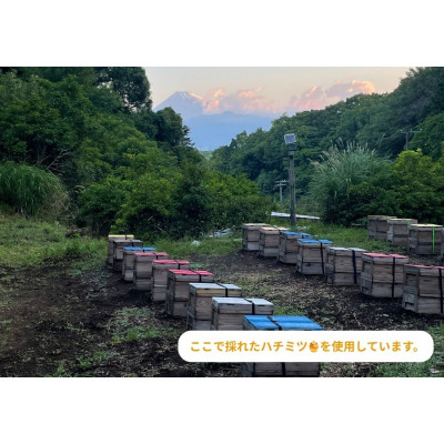 ギフト包装:胡桃のハチミツキャラメリゼ2種セット(キャラメル味、ほうじ茶味)