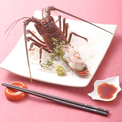 極冷伊勢海老約300g×2尾【配送不可地域：離島】