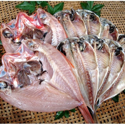 天日干しひもの詰合せ【配送不可地域：離島】