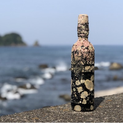 赤ワイン潜酔酒(カベルネソービニオン)