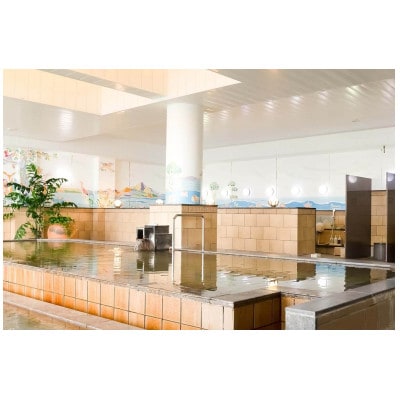 道の駅 伊東マリンタウンのスパ入浴・食事＆楽食事　共通券　3,000円分