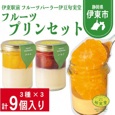 〔伊東温泉で人気〕フルーツプリンセット9個入【配送不可地域：離島】