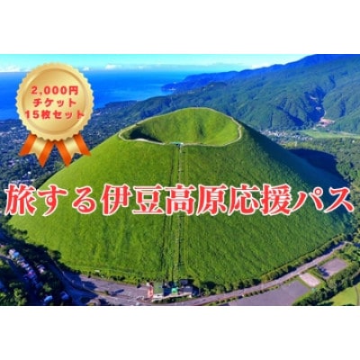 旅する伊豆高原応援パス 2,000円チケット 15枚セット