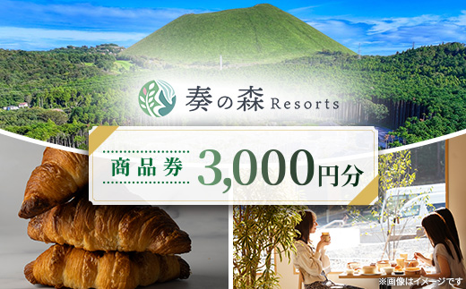 静岡県伊東市【奏の森リゾート】奏の森Resortsのカルムでも使える商品券3,000円分