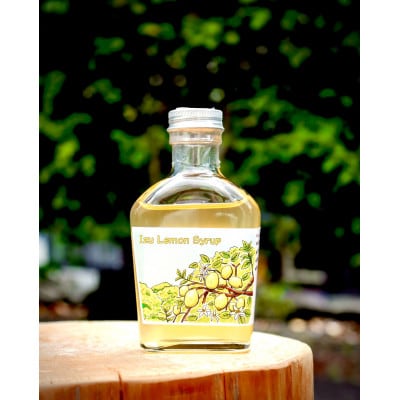 伊豆産ハチミツレモンシロップ