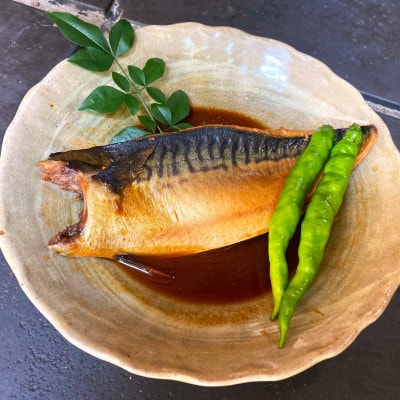 【毎月定期便】さば味噌煮 詰め合わせ全12回【配送不可地域：離島】