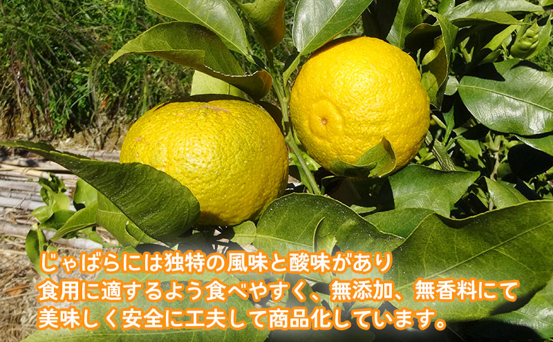 大井川 じゃばら 加工品 5点セット 花粉症 対策 マーマレード 100%果汁 果皮パウダーぐみ ぐみパウダー入り フルーツ