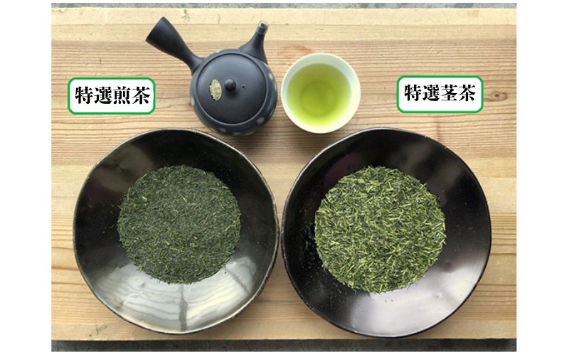 【2026年5月上旬以降より順次発送】初摘み新茶90g×2本 特選初物茎茶90g×2本(あららぎ袋入り) お茶 緑茶
