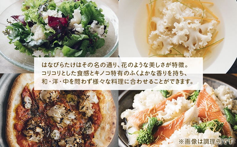 ホホホタケ はなびらたけ 80g 10パック 幻のきのこ ハナビラタケ 幻 きのこ キノコ すき焼き アヒージョ 天ぷら スープ 静岡 静岡県 島田市