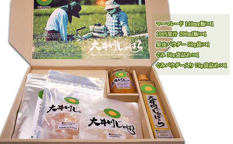 大井川 じゃばら 加工品 5点セット 花粉症 対策 マーマレード 100%果汁 果皮パウダーぐみ ぐみパウダー入り フルーツ
