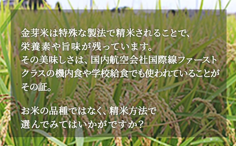 無洗米 静岡県産 JAおおいがわ 金芽米 5kg 2袋 (合計10kg) 米 こ