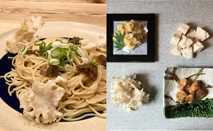 ホホホタケ はなびらたけ 80g 10パック 幻のきのこ ハナビラタケ 幻 きのこ キノコ すき焼き アヒージョ 天ぷら スープ 静岡 静岡県 島田市