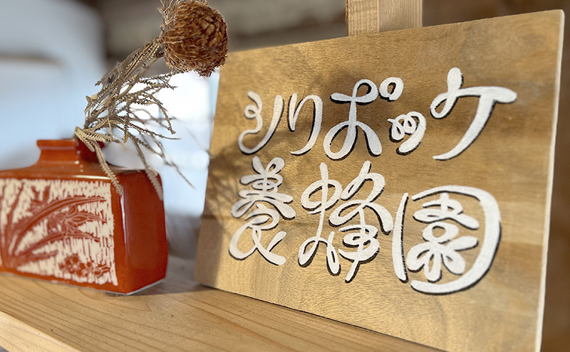 種類おまかせ！季節の天然はちみつ（大瓶600g×1個）ハチミツ 蜂蜜 島田市 静岡県