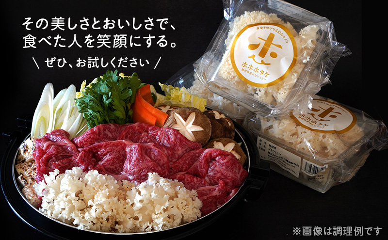 ホホホタケ はなびらたけ 80g 10パック 幻のきのこ ハナビラタケ 幻 きのこ キノコ すき焼き アヒージョ 天ぷら スープ 静岡 静岡県 島田市
