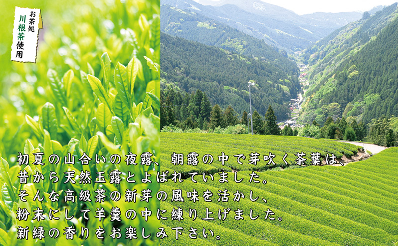 栗入りお茶羊羹5個袋×4個　箱入り