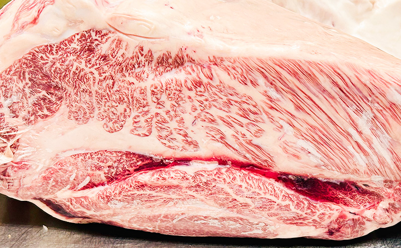 【 国産黒毛和牛使用！ 】 静岡牛 極肉ハンバーグ 150g×10個入 特製ソース付き 国産 牛肉 冷凍 静岡 ハンバーグ お惣菜 おかず はんばーぐ お弁当 冷凍