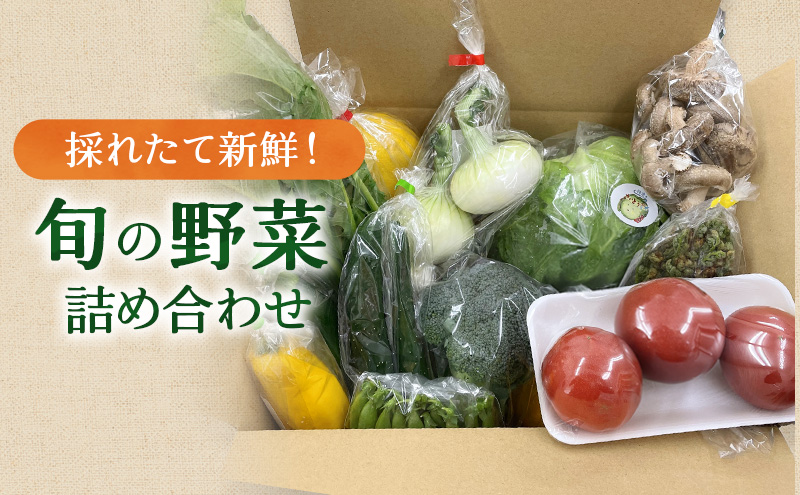 新鮮獲れたて！ まんさいかん島田 季節の野菜詰め合わせ セット 　 野菜セット 旬の野菜 旬 野菜詰め合わせ 野菜詰め合わせセット 産地直送 静岡 島田市