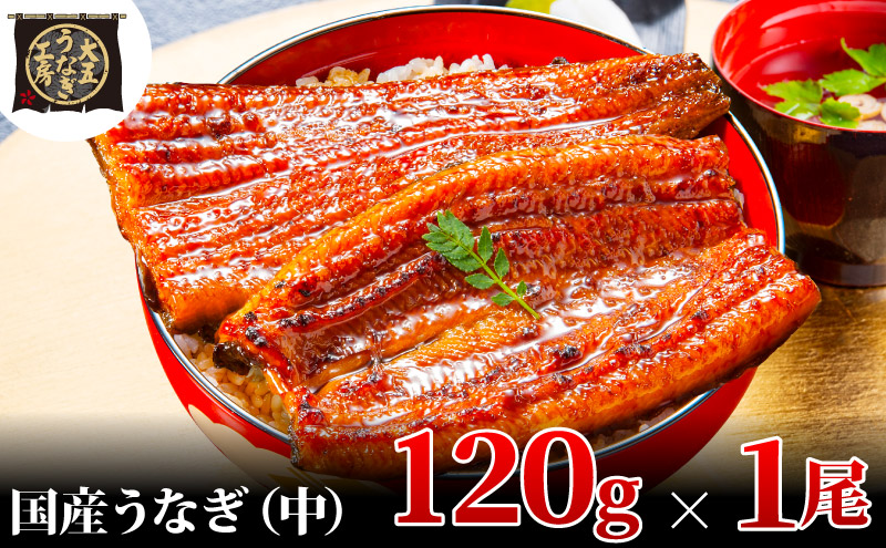 うなぎ蒲焼 120g×1尾 うなぎ ウナギ 鰻 蒲焼 蒲焼き冷凍 国産 大五 大五通商 静岡 島田市