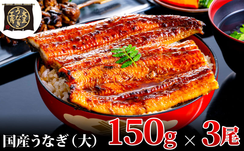 うなぎ蒲焼 150g×3尾(450g) うなぎ ウナギ 鰻 蒲焼 蒲焼き冷凍 国産 大五 大五通商 静岡 島田市