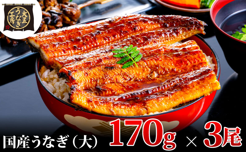 うなぎ蒲焼 170g×3尾(510g) うなぎ ウナギ 鰻 蒲焼 蒲焼き冷凍 国産 大五 大五通商 静岡 島田市
