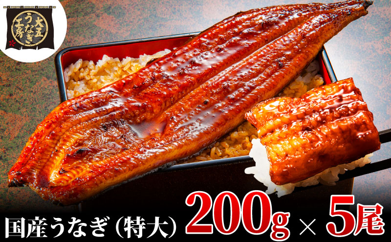 うなぎ蒲焼 200g×5尾(1kg) うなぎ ウナギ 鰻 蒲焼 蒲焼き冷凍 国産 大五 大五通商 静岡 島田市