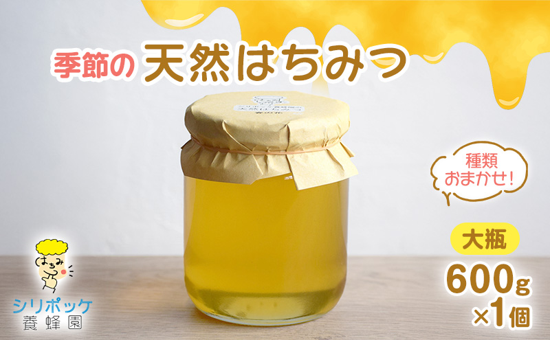 種類おまかせ！季節の天然はちみつ（大瓶600g×1個）ハチミツ 蜂蜜 島田市 静岡県