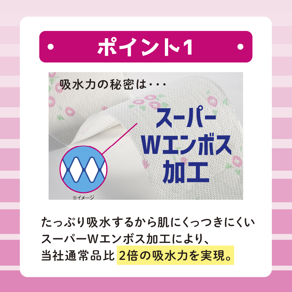 定期便 年2回 6ヶ月毎のお届け エリエール シャワートイレのためにつくった吸水力が2倍のトイレットペーパー フラワープリント香水付 12ロール×6個（72ロール）×2回発送（計144ロール）