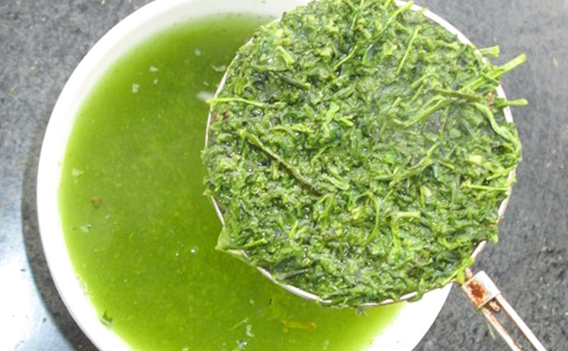 お茶 旬の煎茶 特撰ヤブ北 200g×5袋 茶 日本茶 茶葉 旨味 甘み ブレンド コク 渋み 通好み 贈り物 ギフト プレゼント 島田市 静岡県