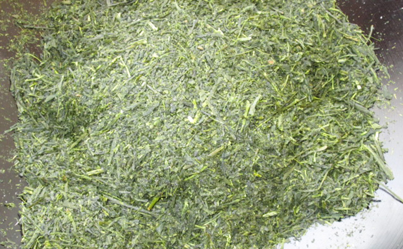 お茶 食卓の常茶 初摘 200g×10袋 茶 日本茶 茶葉 旨味 甘み ブレンド コク 渋み 通好み 贈り物 ギフト プレゼント 島田市 静岡県