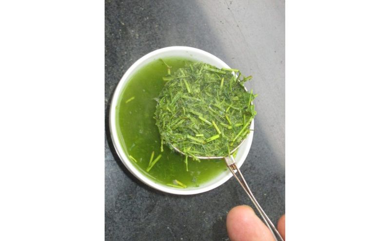 高級茎茶 ちゃばしら 200g×10 茎茶 茶葉 水出し 静岡県 島田市