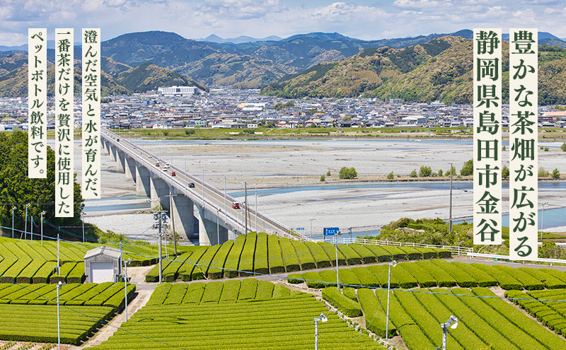 静岡県産一番茶使用 山間の深むし あら茶 500ml×24本入り 緑茶 ペットボトル 深むし茶 一番茶 あら茶 金谷茶 静岡 茶 500ml 24本 静岡県 島田市