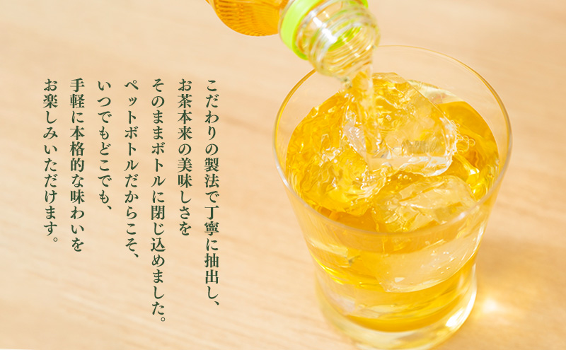 静岡県産一番茶使用 山間の深むし あら茶 500ml×24本入り 緑茶 ペットボトル 深むし茶 一番茶 あら茶 金谷茶 静岡 茶 500ml 24本 静岡県 島田市