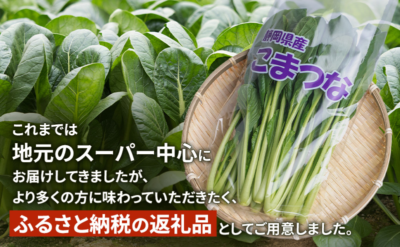 小松菜  お茶  お米 詰め合わせ(きぬむすめ)  セット2　野菜 やさい こまつな 旬 国産 茶 緑茶 煎茶 水出し 米 こめ コメ 産地直送 詰合せ 静岡県 島田市