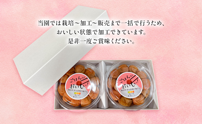 八房梅使用 ごはんがおいしい！白干し梅 合計1kg(500g×2パック) 梅干し うめぼし 白干し 塩漬け おにぎり 弁当 島田市 静岡県