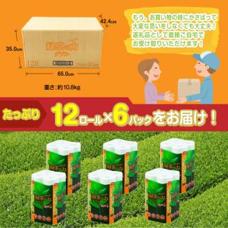 緑茶の力12Ｒ トイレットペーパー ダブル 72個 ふっくら ソフト 消臭 芳香 [sf002-065]