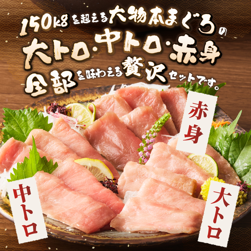 駿河屋賀兵衛　本まぐろ尽くしセット（2人前） [sf067-011]