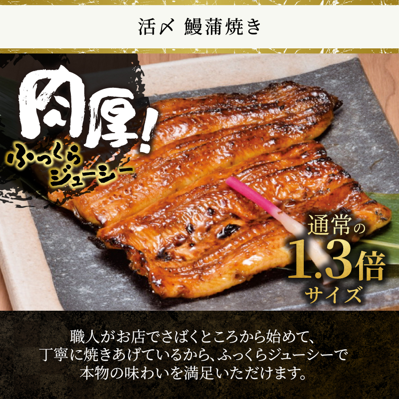 冷凍 活〆 鰻蒲焼き4人前セット [sf095-001]