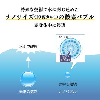 ［定期便１２ヶ月］富士登山水500ml×24本入　酸素ナノバブル水　ミネラルウォーター　備蓄　　登山　送料無料（2003）