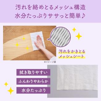 キミおもい 徹底キレイおそうじシート ボトル本体 70枚×12P 猫 ペット用品(2023)