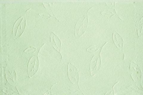 緑茶の力12Ｒ トイレットペーパー ダブル 72個 ふっくら ソフト 消臭 芳香 [sf002-065]