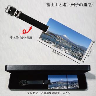 富士山ネームプレート(1249)