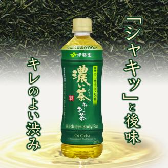 【定期便】お～いお茶濃い茶 PET600ml×24本(1箱)×3回 [sf066-019]