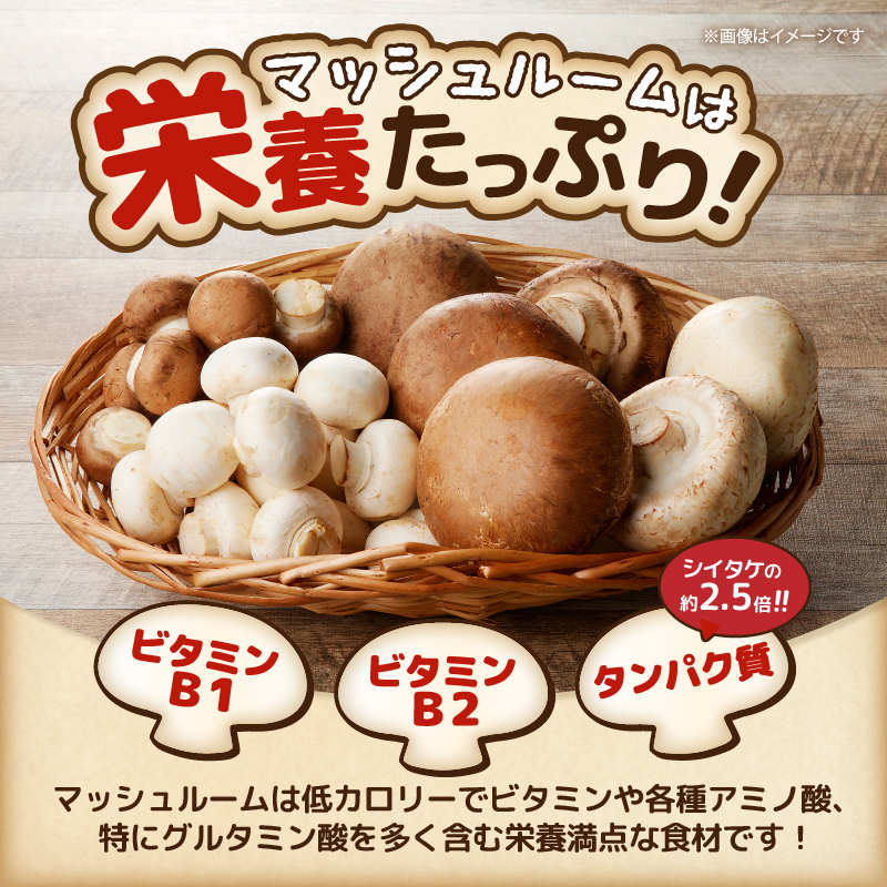 長谷川農産の美味しいマッシュルームセット 無農薬・無漂白栽培 富士山麓 マッシュルームファーム 産地直送 高品質 きのこ キノコ ギフト 長谷川農産 静岡県 富士市 野菜(1039)