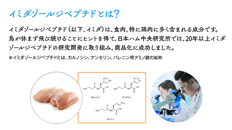 イミダの力 (R) パウダー 10本入り イミダゾールジペプチド 1包250mg配合 サプリ サプリメント ダイエット 健康 疲れ 疲労回復 イミダゾール カルノシン アンセリン 多い 食品 バレニン ジョギング マラソン スポーツ 部活 個包装 日本ハム 送料無料 [sf069-001]