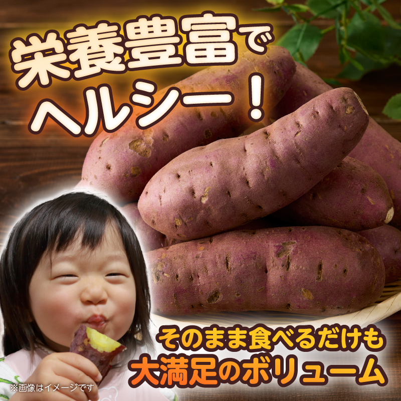 【先行予約】富士美芋 生4.5kg [sf070-002]