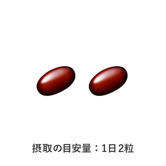 定期便【全2回 3ヶ月毎発送】プレミアムビタミン 約30日分(60粒) 3袋セット [sf001-262]